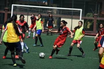 萨里将出任亚特兰大主教练，接替帕拉迪诺（配图示意）